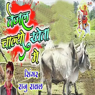 Tejal Chalyo Kheta Me - Raju Rawal album cover 