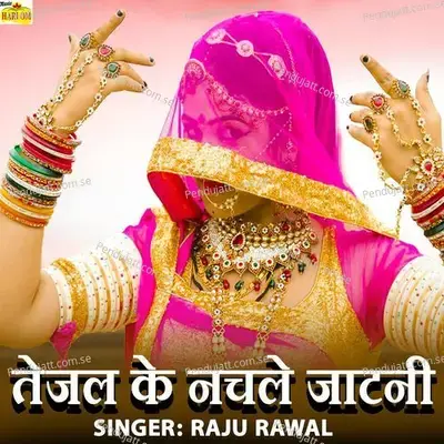 Tejal Ke Nachle Jatni - Raju Rawal album cover 