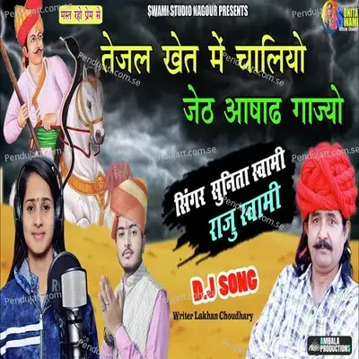 Tejal Khet Me Chalyo - Sunita Swami album cover 