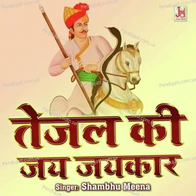 Tejal Ki Jai Jaikar - Shambhu Meena album cover 