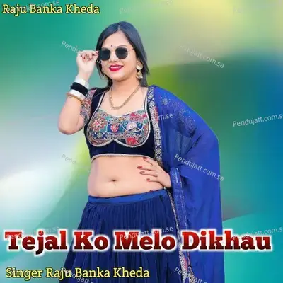 Tejal Ko Melo Dikhau - Raju Banka Kheda album cover 