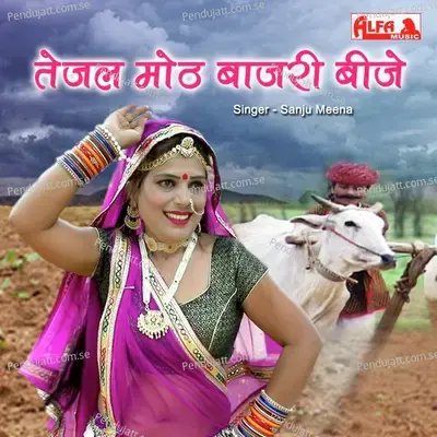 Tejal Moth Bajri Beeje - Sanju Meena album cover 