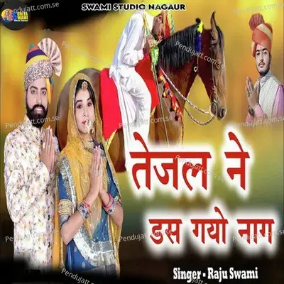 Tejal Ne Das Gyo Re Naag - Raju Swami album cover 