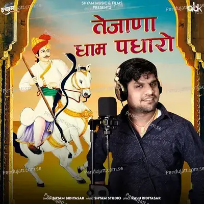 Tejana Dham Padharo - Shyam Bidiyasar album cover 