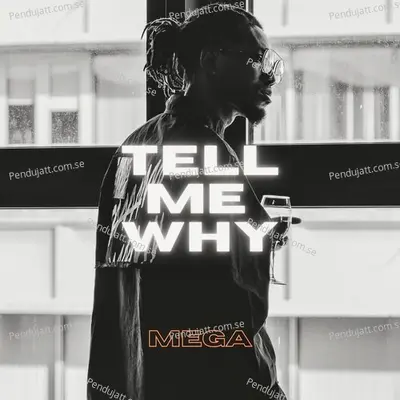 Tell Me Why - Mega album cover 