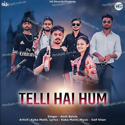 Telli Hai Hum - Amit Baisla album cover 