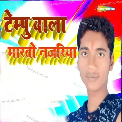 Tempu Wala Marto Najariya - Mntu Bihari album cover 