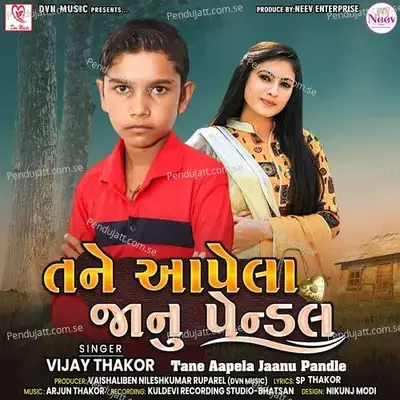 Tena Aapela Jaanu Pandle - Vijay Thakor album cover 