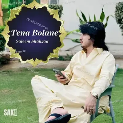 Tena Bolane - Saleem Shahzad cover album