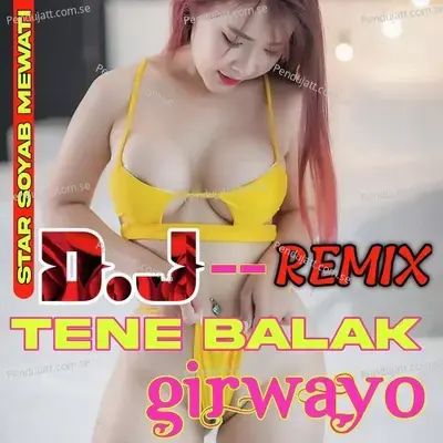 Tene Balak Girwayo - Star Soyab Mewati album cover 