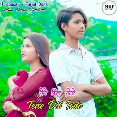 Tene Dil Todo - Aslam Singer Deadwal album cover 