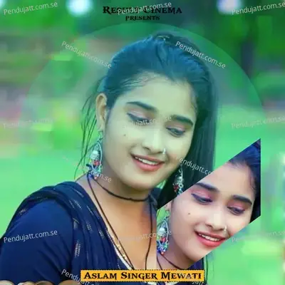 Tene Kardi Meri - Aslam Singer Mewati album cover 