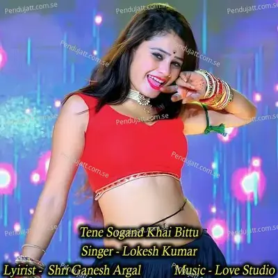 Tene Sogand Khai Bittu - Lokesh Kumar album cover 