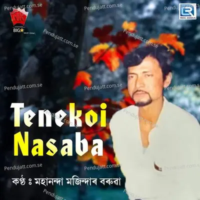 Tenekoi Nasaba - Mahananda Majinder Baruah album cover 