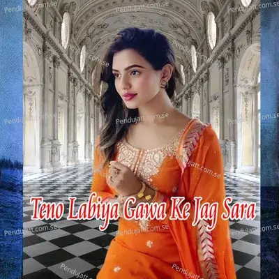 Teno Labiya Gawa Ke Jag Sara - Runa Laila album cover 