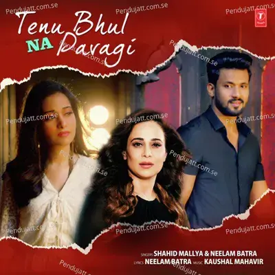 Tenu Bhul Na Pavage - Kaushal Mahavir album cover 