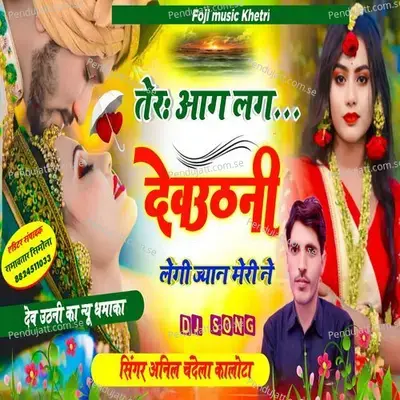 Ter Aag Lgo Devothani Legi Jan Meri N - Anil Chandela album cover 