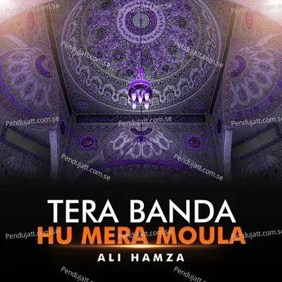 Tera Banda Hu Mera Moula - Ali Hamza album cover 