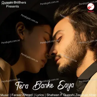 Tera Banke Saya - AP album cover 