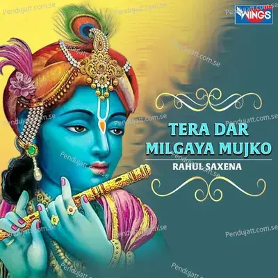 Tera Dar Milgaya Mujhko - Rahul Saxena album cover 