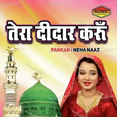 Tera Didar Karu - Neha Naaz album cover 