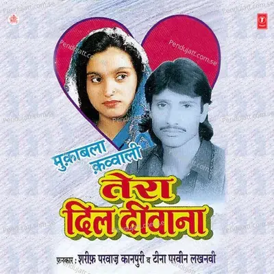 Chudiyan Chu N Tum Khankhanaya Karo - Sawaal - Sharif Parwaz album cover 