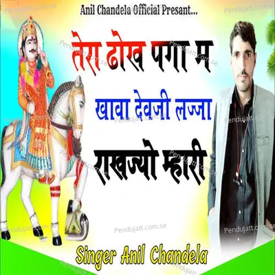 Tera Dokh Pga Me Khava Devji Lajja Rakhyo Mhari - Anil Chandela album cover 