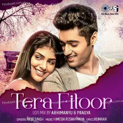 Tera Fitoor (Lofi Mix) - Arijit Singh