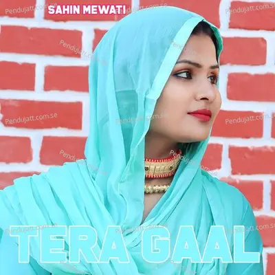 Tera Gaal - Sahin Mewati album cover 