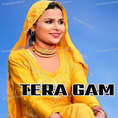 Tera Gam - Aslam Singer Mewati album cover 