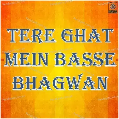 Tera Ghat Ma Base Bhagwaan - Seema Mishra album cover 