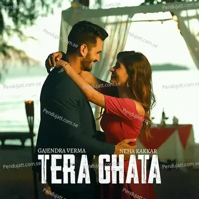 Tera Ghata - Gajendra Verma album cover 