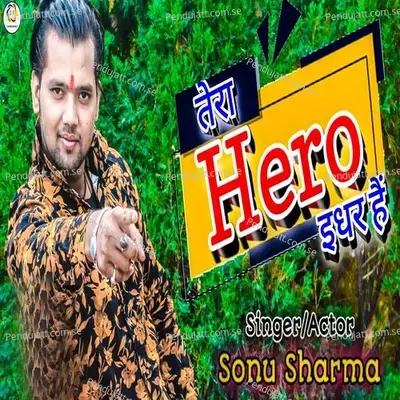 Tera Hero Idhar Hain - Sonu Sharma album cover 