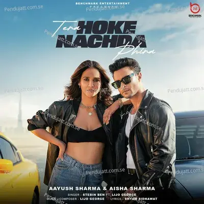 Tera Hoke Nachda Phira - Stebin Ben album cover 