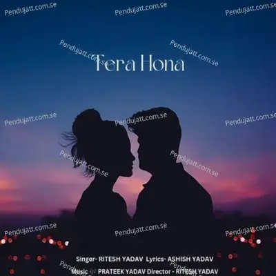 Tera Hona - Ashish Yadav album cover 