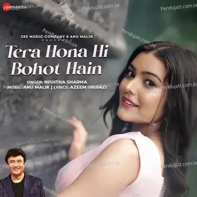 Tera Hona Hi Bohot Hain - Anu Malik album cover 