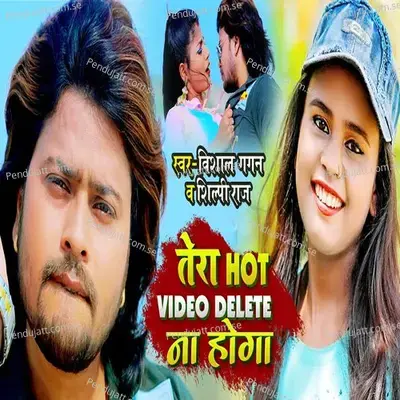 Tera Hot Video Delete Na Hoga - Vishal Gagan album cover 