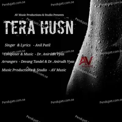 Tera Husn - Anil Patil album cover 