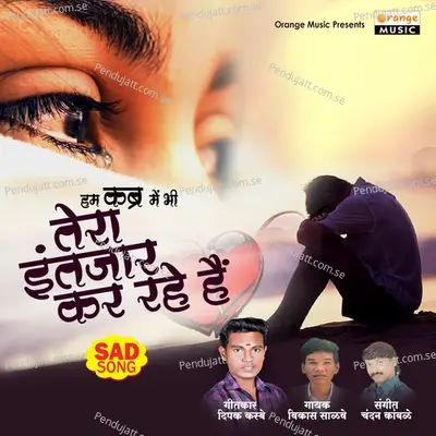 Tera Intazar Kar Rahe Hain - Vikas Salve album cover 