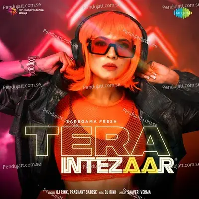 Tera Intezaar - DJ Rink album cover 