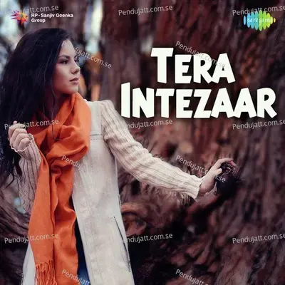 Tera Intezaar - Various Artists cover album