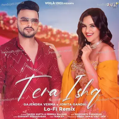 Tera Ishq - Gajendra Verma album cover 