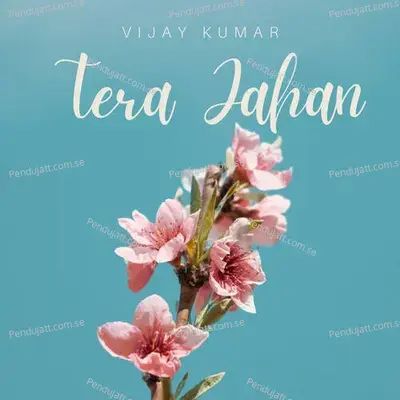 Tera Jahan - Vijay Kumar album cover 