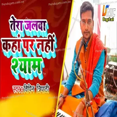 Tera Jalwa Kaha Par Nhi Shyam - Vipin Tripathi album cover 