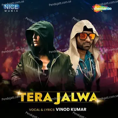 Tera Jalwa - Vinod Kumar album cover 