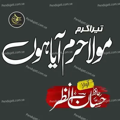 Tera Karam Mola Haram Aya Hon - Hafiz Hassan Anzar album cover 