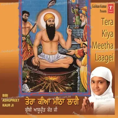 Sadho Man Ka Maan Tiaago - Bibi Ashupreet Kaurji(Jallandhar Wale) album cover 