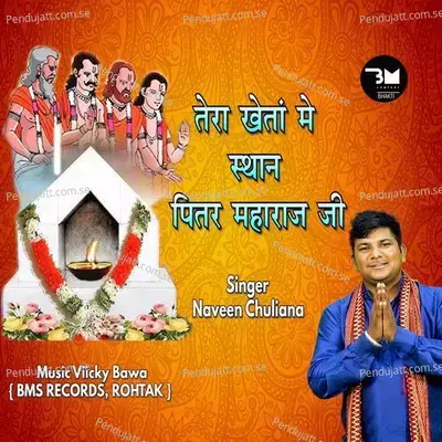 Tera Kheta Mai Sthaan Pitar Maharaj - Naveen Chuliana album cover 