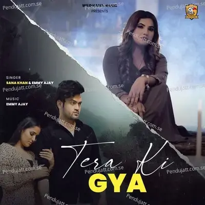 Tera Ki Gya - Sana Khan album cover 