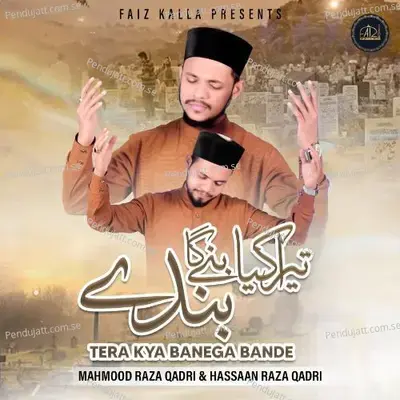 Tera Kya Banega Bande - Mahmood Raza Qadri album cover 